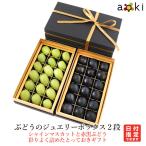 ぶどうのジュエリーボックス 2段(シャインマスカット おすすめ赤黒ぶどう)(クール便)御中元 御中元 夏ギフト