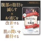 ショッピングダイエット ブラックジンジャー 乳酸菌 サプリ ダイエットサプリ 脂肪燃焼 皮下脂肪 内臓脂肪 肥満 体脂肪 燃焼 中性脂肪 体重 効果 代謝 90粒