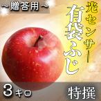クール便無料 【光センサー選果保証】 高糖度 青森県産 りんご 有袋ふじ ふじ 特撰 贈答 3kg 3キロ 送料無料 プレゼント お中元 お歳暮 誕生日