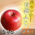 クール便無料 【光センサー選果保証】 高糖度 青森県産 りんご 有袋ふじ 訳あり ふじ 3kg 3キロ 送料無料
