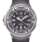 aonohappaのプロマスターを見る