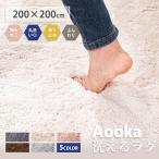 【極厚30mm】ラグ カーペット 厚手 高密度 洗える おしゃれ オールシーズン 200×200 防ダニ ラグマット 滑り止め付 ホットカーペット 床暖房対応 北欧