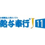  тарифная ставка . line J11 использование type новый 