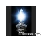 グランツ 純正HIDヘッドランプ車専用交換バルブ D2R/8700K 2個入 HID-D2R-087 JAN：4560313969037