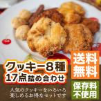 焼き菓子 クッキー詰め合わせ 安い ギフト 大量 お試しセット お菓子 おしゃれ 17枚