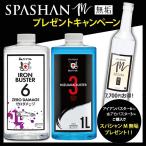 アイアンバスター6 1000ml ＋ 水アカバスター３ 1000ml SPASHAN2022 M 無垢 プレゼント spashan セット 新商品 水垢 汚れ 鉄粉 最強 2022m