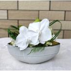 プリザーブドフラワー胡蝶蘭横長アレンジ★ギフト誕生日 送別 卒業 結婚 お祝い 記念日 プレゼント 母の日 父の日