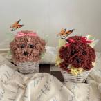 プリザーブドフラワー トイプードルアレンジ★花 ギフト誕生日 送別 卒業 結婚 お祝い 記念日 プレゼント 母の日 父の日