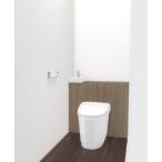 LIXIL YDS-H385P2/JZW(J Fit I type рука . есть *H5 комплектация *801-850mm J Fit CF-H10PH(120) ПВХ осушение труба (120 для ) производитель прямая поставка Lixil 