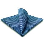 S&amp;W SHLAX&amp;WING мужской Thai галстук голубой бирюзовый подходящий pocket square только 