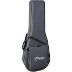 Takamine ( Takamine ) SH-100 / for 100 Series электроакустическая гитара 100 серии для полужесткий чехол [ высота . жесткий чехол SH100]