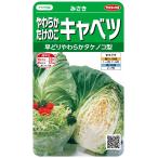 sakata. tane реальный . овощи 2010 мягкость побеги бамбука капуста ...00922010