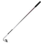  gold bosi(Kinboshi) золотой звезда золотой Star труба рисунок . вытащенный 800 мм рисунок 810×55×90mm 1593