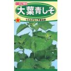  акционерное общество to- ho k большой лист синий ..01330