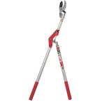 [Kamaki]1150A-1.0 высота ветка тип futoshi ветка порез ... rin Anne Bill 1.0m