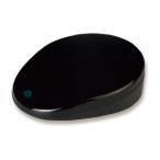 latok система Bluetooth соответствует учеба дистанционный пульт единица REX-BTIREX1