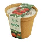 . новый керамика e раскладушка M мини помидоры 