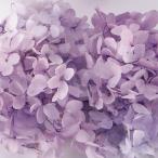  большой земля сельское хозяйство . консервированный цветок soft стойка mid гортензия * head ( градация обработка ) булавка Climb примерно 2 колесо (7~15G)DO001515-172