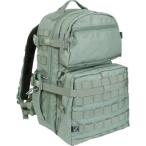  стерео ti flying (Steady Flying) рюкзак *ARES~ PA010502B2FG