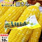 嶽きみ(真空パック) Sサイズ 10本 青森県産 だけきみ ダケキミ とうもろこし トウモロコシ もろこし きび 岩木屋
