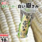  вы .. ..2L размер 10шт.@( вакуум упаковка ) Aomori префектура производство белый кукуруза белый кукуруза только ..dake Kimi .. прямая поставка от производителя скала дерево магазин 