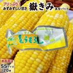 ...( вакуум упаковка ) SS размер 20шт.@ Aomori префектура производство только ..dake Kimi кукуруза кукуруза .... просо скала дерево магазин 