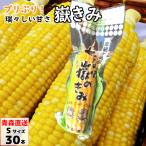  вы .. ..S размер 30шт.@( вакуум упаковка ) Aomori производство кукуруза кукуруза ... только ..dake Kimi кукуруза .... просо .. прямая поставка от производителя скала дерево магазин 
