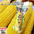 вы .. ..SS размер 30шт.@( вакуум упаковка ) Aomori производство кукуруза кукуруза ... только ..dake Kimi кукуруза .... просо .. прямая поставка от производителя скала дерево магазин 