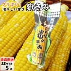  вы .. ..SS размер 5шт.@( вакуум упаковка ) Aomori производство кукуруза кукуруза ... только ..dake Kimi кукуруза прямая поставка от производителя скала дерево магазин 