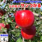  солнечный ... яблоко есть перевод 5kg Aomori производство лист ... яблоко ... солнечный tsugaru Цу легкий яблоко ..
