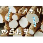 業務用に最適 青森県産 規格外【わけあり（Ｂ級品） 屏風山 砂丘 長いも・洗いカットタイプ・3kg 】