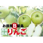 否バラ詰め【B級品・王林・20kg（20キロ）用 木箱 サイズ ダンボール 詰】わけあり・青森県産 青りんご