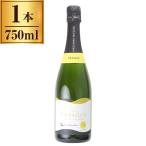 広島三次ワイナリー 広島三次 ヴィラクア イエロー 白 750ml メーカー直送