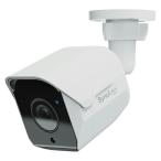 Synology BC500ba let type сеть камера 