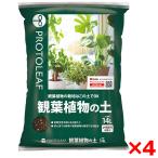 4 шт. комплект Pro to leaf декоративное растение. земля 14L производитель прямая поставка 
