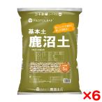 6 шт. комплект Pro to leaf Канумская пемза 5L производитель прямая поставка 