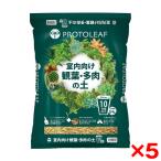 5 шт. комплект Pro to leaf салон предназначенный . лист * много мясной земля 10 номер горшок для производитель прямая поставка 