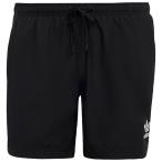 ADIDAS оригиналы шорты KWN30 JD0957 51 ADICSWIMSH5IN Adi цвет s Lee полоса s плавки черный J/XL