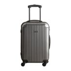  Michel Klein Carry кейс серебряный 05-5172