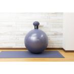 CATERPY BBL-002MDM Bee Balloon midnight фитбол 