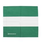 SCEPTRE Scepter регби флаг зеленый / белый SP81