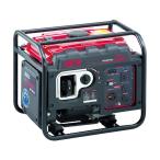 HPG3000I エンジン発電機 HPG-3000I メーカー直送