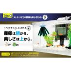その他熱帯魚、アクアリウム用品