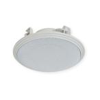 MASSIVE OE-180WRII слоновая кость 100mm полный плита водонепроницаемый динамик 