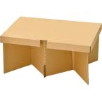 アートナップ 折りたたみ ダンボール テーブル アウトドア 災害用 使い捨てテーブル (組立時)51.2×34.5×24.0cm 簡易テーブル 簡易机