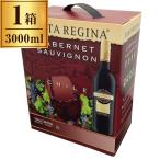 サンタ・レジーナ カ