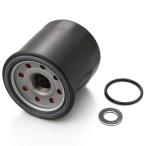  Daytona D18062 масло замена Perfect комплект W800