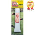 キンボシ GS #538502ラッピングコンパウンド100gチューブ入