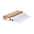 CANON 8738B003 стандартный обыкновенная бумага 2 LFM-PPS2/24/64