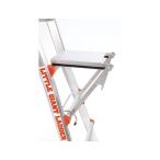  Hasegawa промышленность Work подножка LG опция Work подножка производитель прямая поставка 